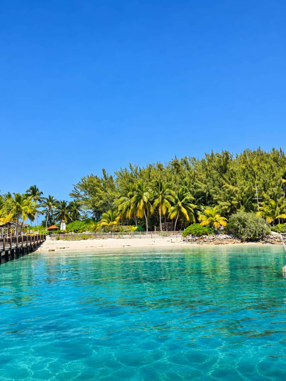 Coconut palms above a white-sand beach and clear turquoise lagoon on Blue Lagoon Island, Bahamas