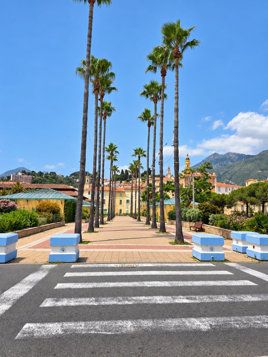 Palm-lined walkway toward ochre buildings and mountains in Menton, France