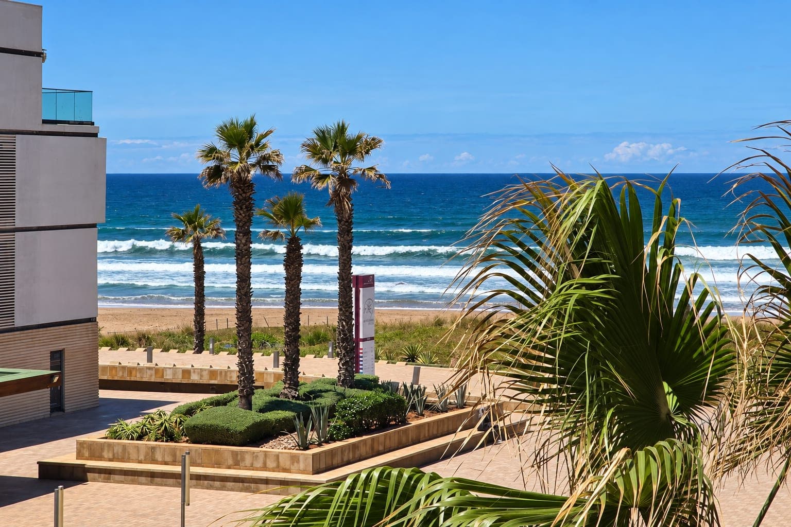 Palm trees beside the coast in Morocco