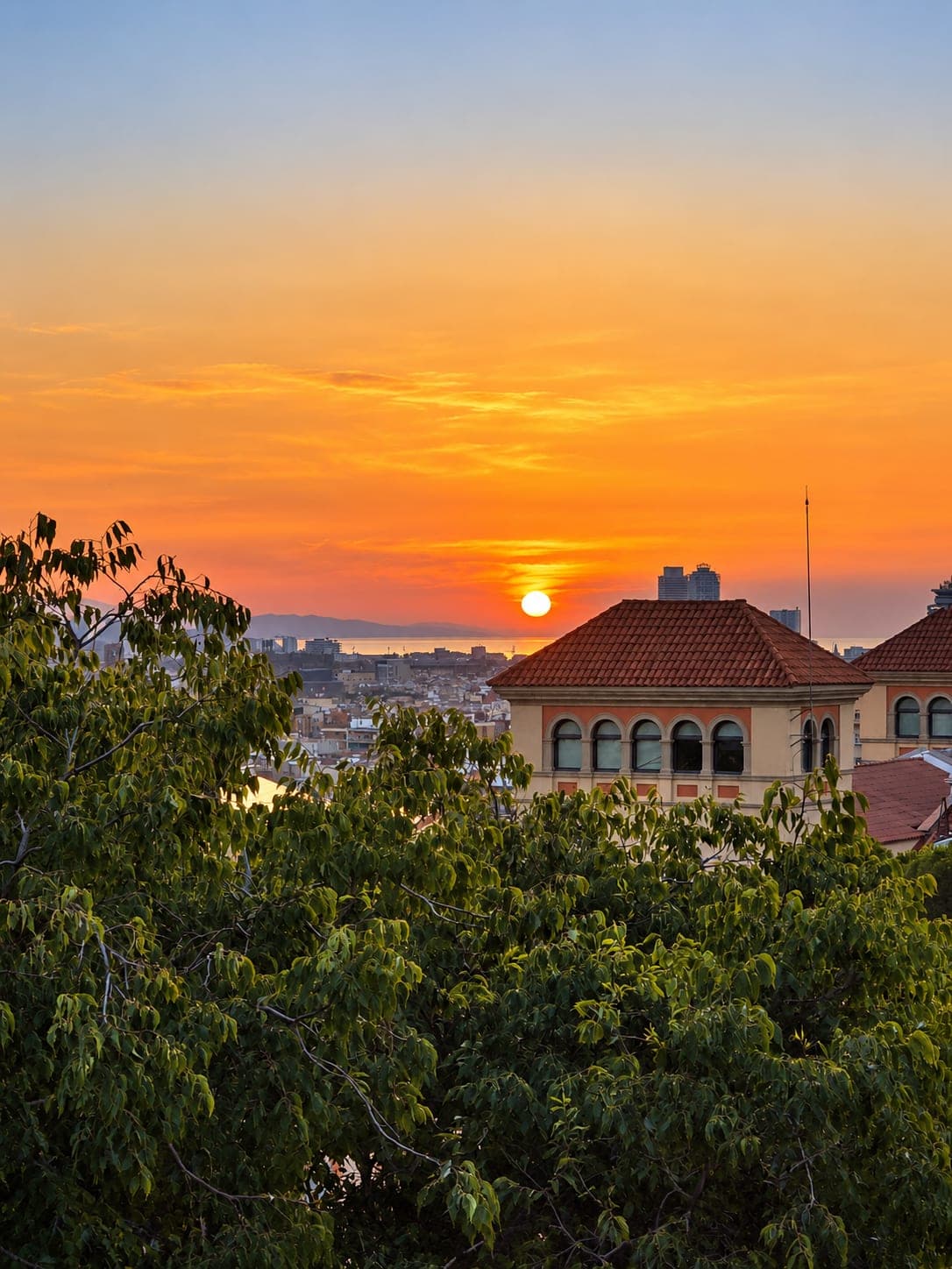 Golden sunset above city rooftops, foliage and a warm horizon