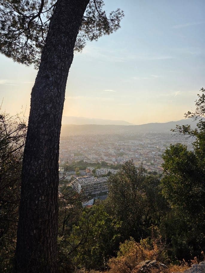 Pinos sobre edificios y una ladera soleada en la fotografía de Niza del propietario
